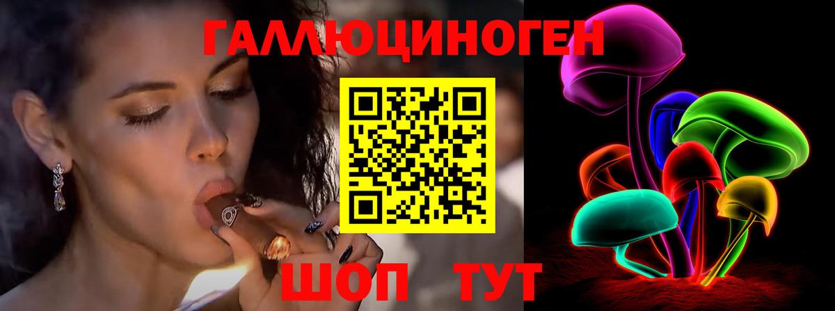 Псилоцибиновые грибы Psilocybine cubensis Полысаево