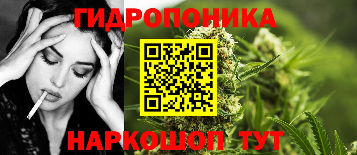 Каннабис SATIVA & INDICA  Вход с VPN  Каннабис планчик  МАРИХУАНА сатива  Полысаево 